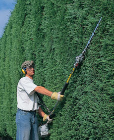 Long-Handled Hedge Trimmer