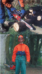 Chainsaws and Safety Kit