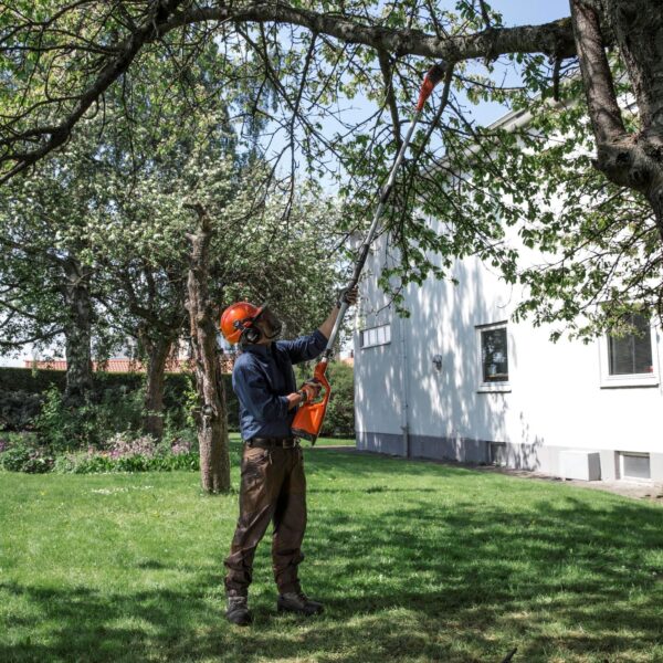 Long Reach Pole Pruner in action